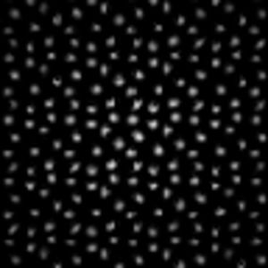 Meet your Posher, Sierra